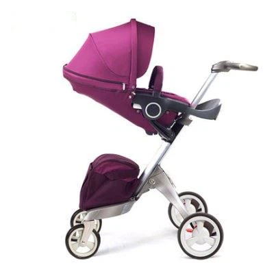 mountain buggy duo